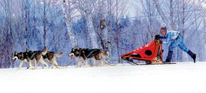 04husky01