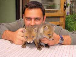 Reinekes Kinder im Tierheim