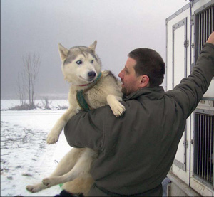 Wenn Hunde auf der Strecke bleiben ...