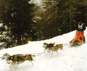 57winter01