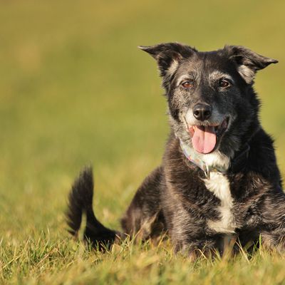 Foto: AdobeStock/Alexandra Hollstein