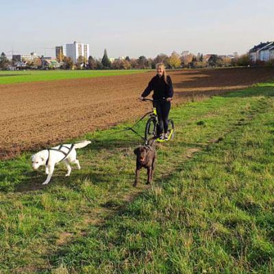 Dogscooter_20201107_141855_klein