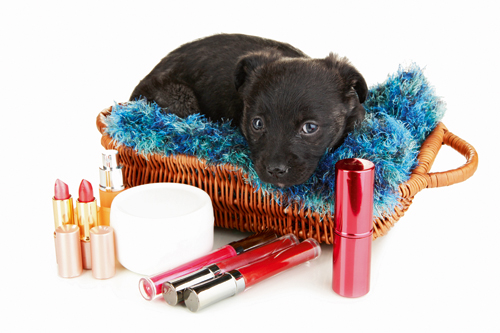 EU: Verkaufsverbot für an Tieren getestete Kosmetika in Kraft!