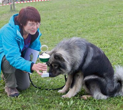 Eurasier_01_Karin_Schwager_4c