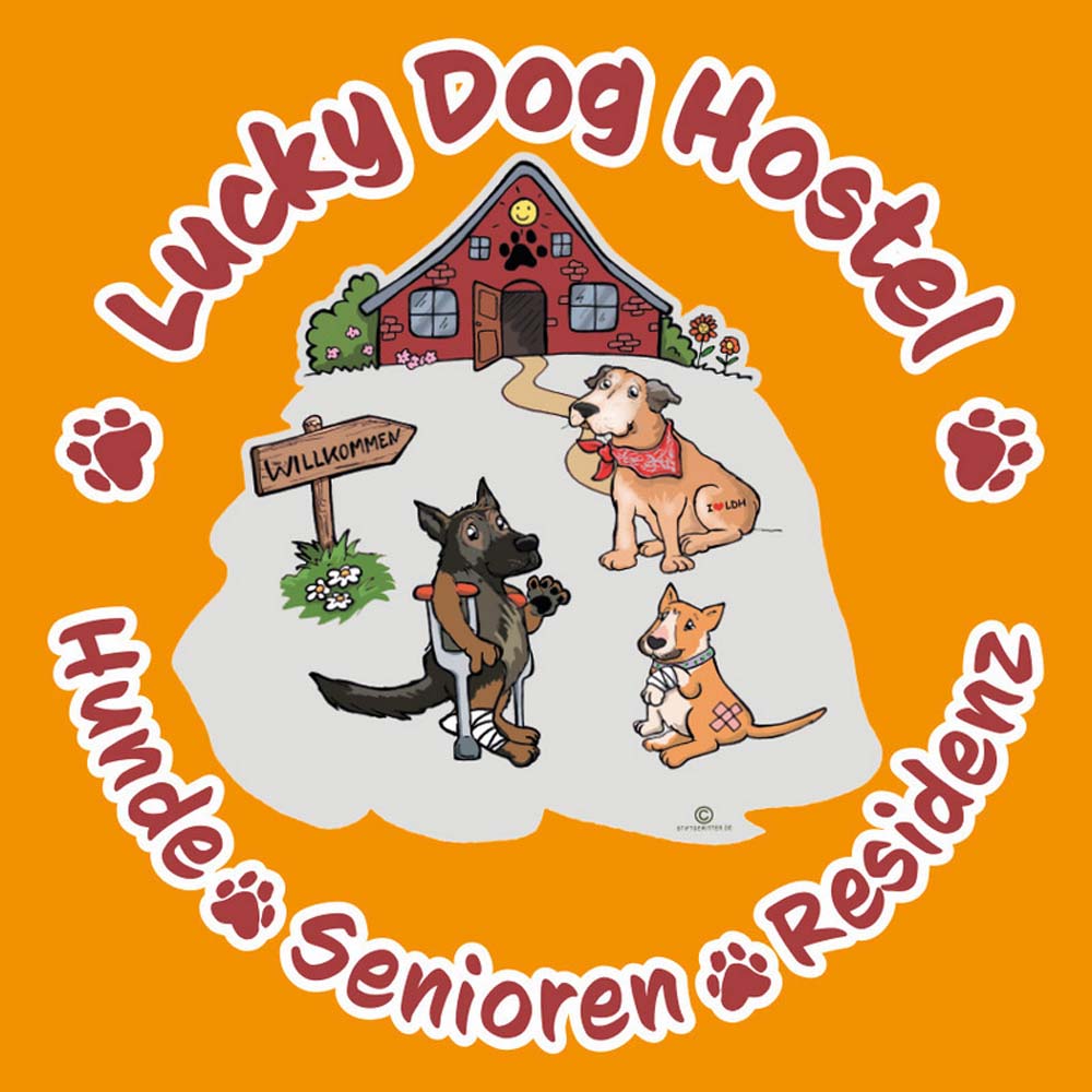 Hundealtersheim: Mit Liebe und Professionalität für alte Hunde