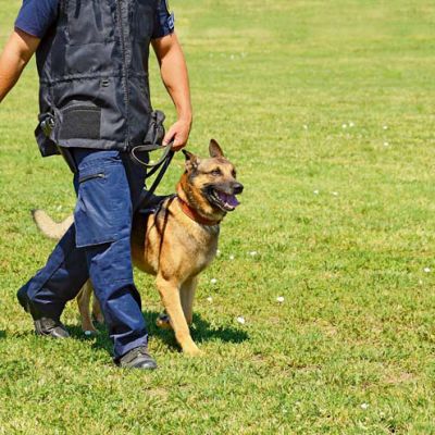 K9 police officer with his dog