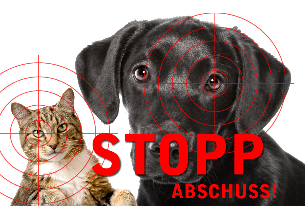 Hunde und Katzen werden immer noch als „Raubzeug“ abgeschossen