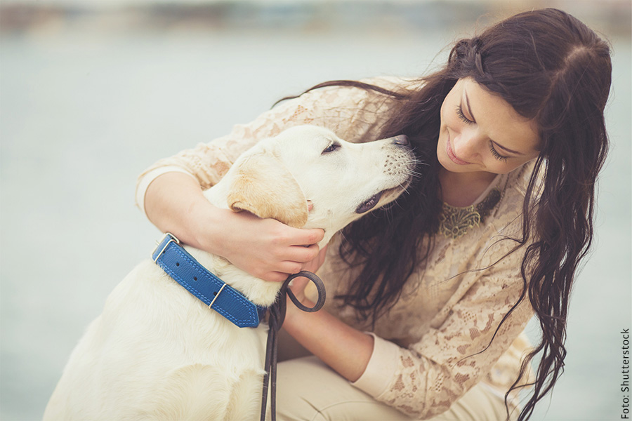 Neurodermitis beim Hund gut verträglich mit einer neuen biologischen Therapie behandeln
