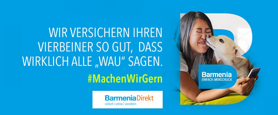 Sicher auf vier Pfoten - Welche Tierversicherung brauche ich?